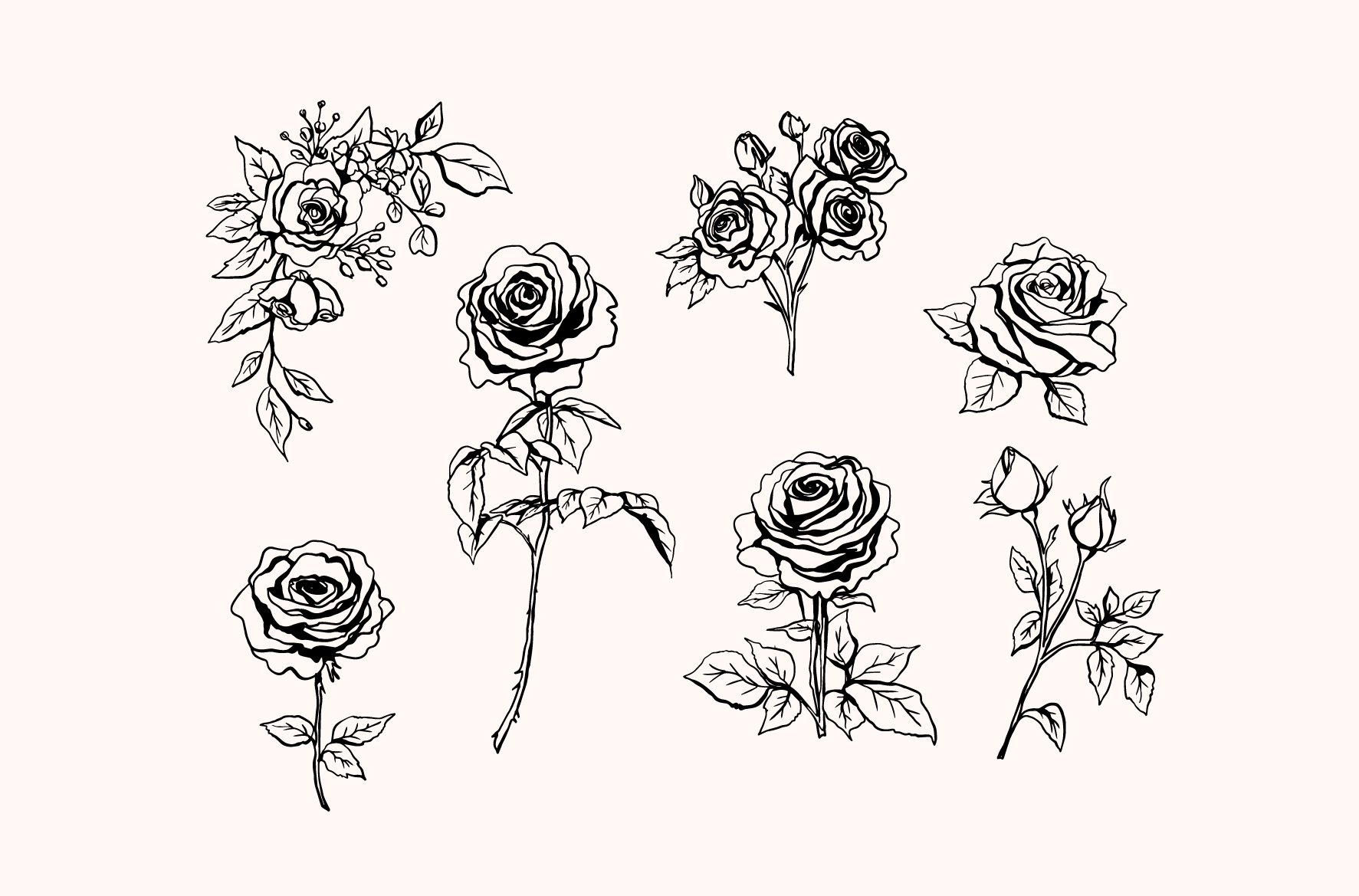 Wedding Roses · sketch 02