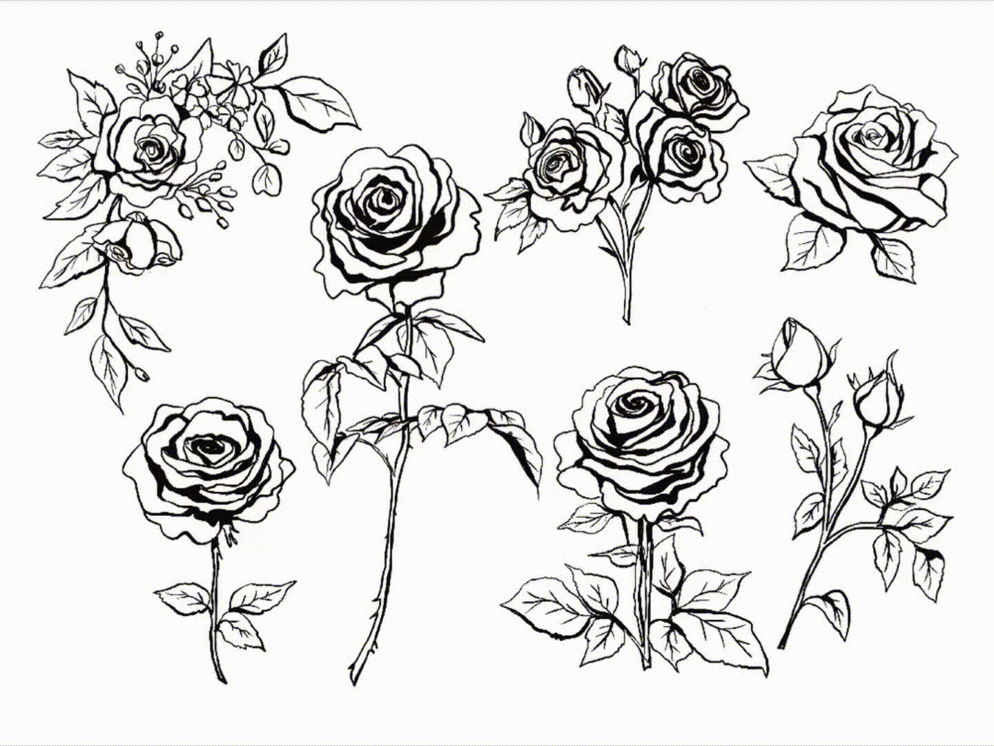 Wedding Roses · animation 04