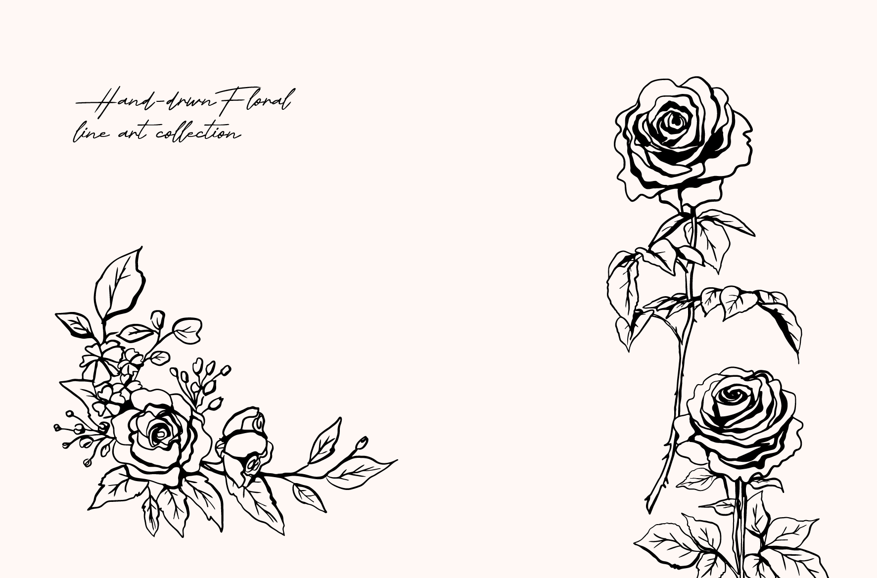 Wedding Roses · sketch 06