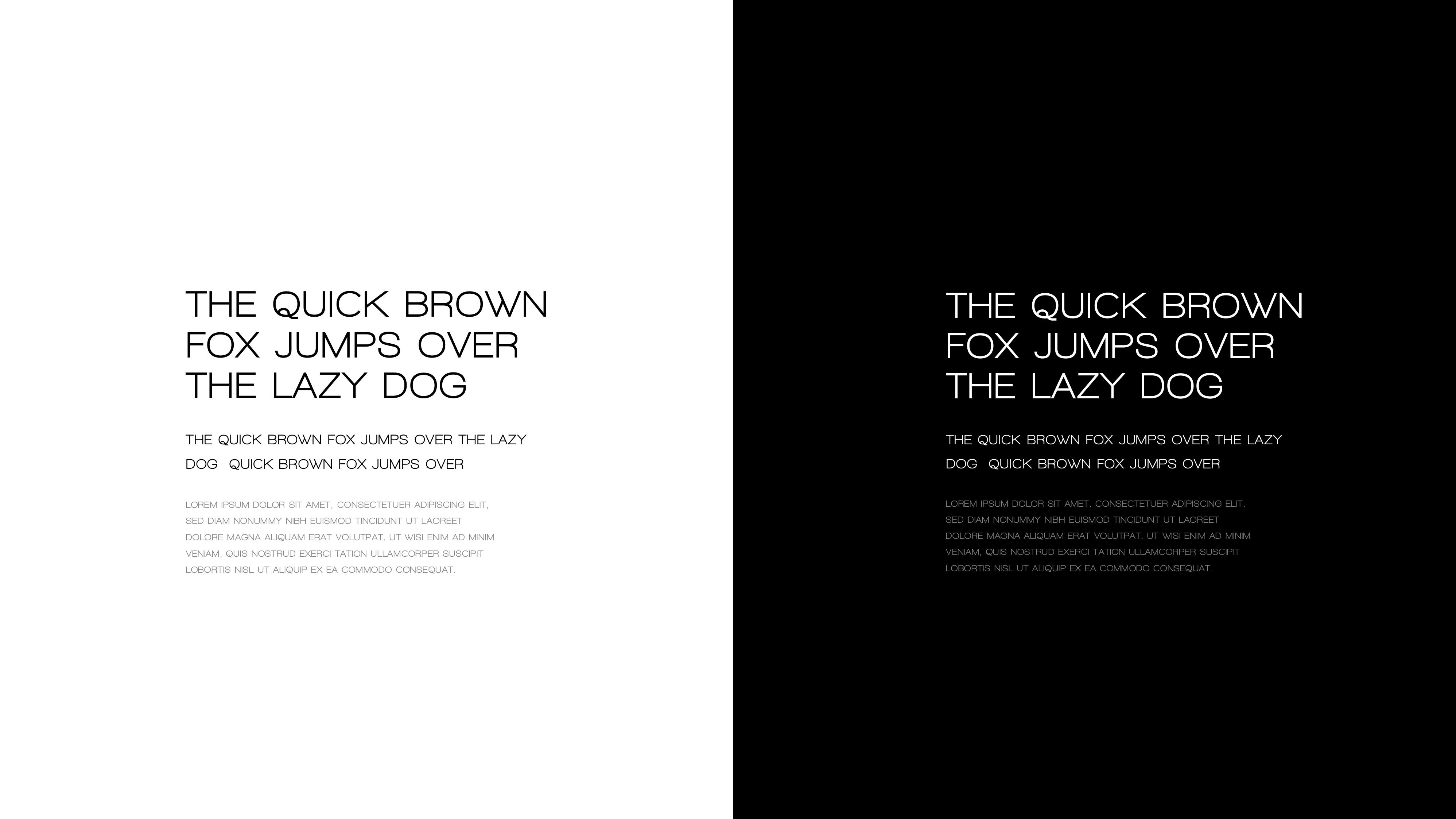 Fractree, visual identity 08