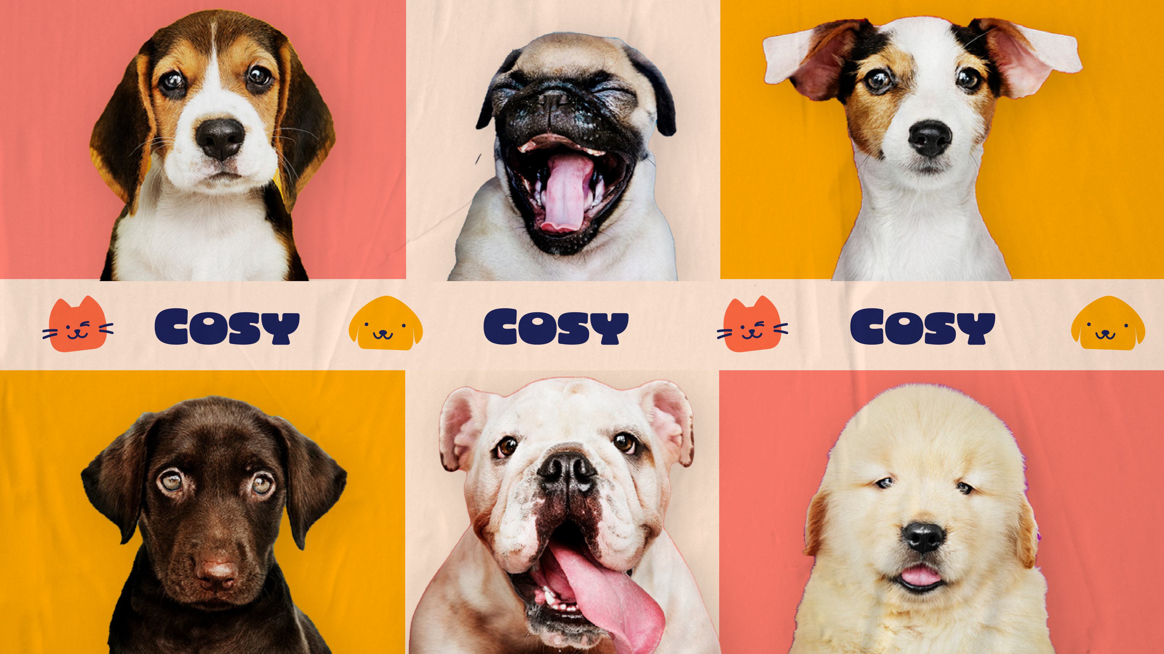 Cosy, pet shop visual identity 18