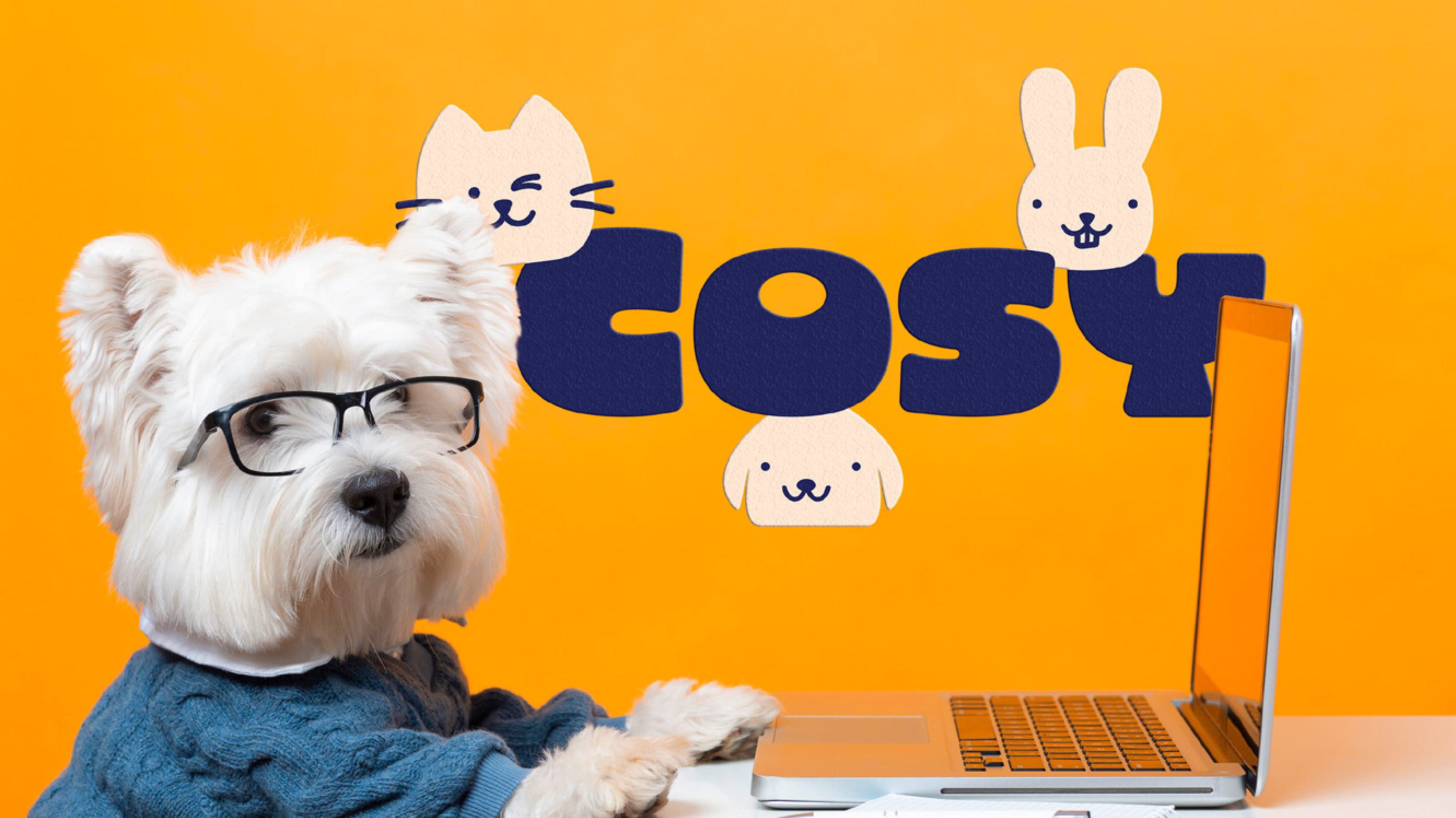 Cosy, pet shop visual identity 21