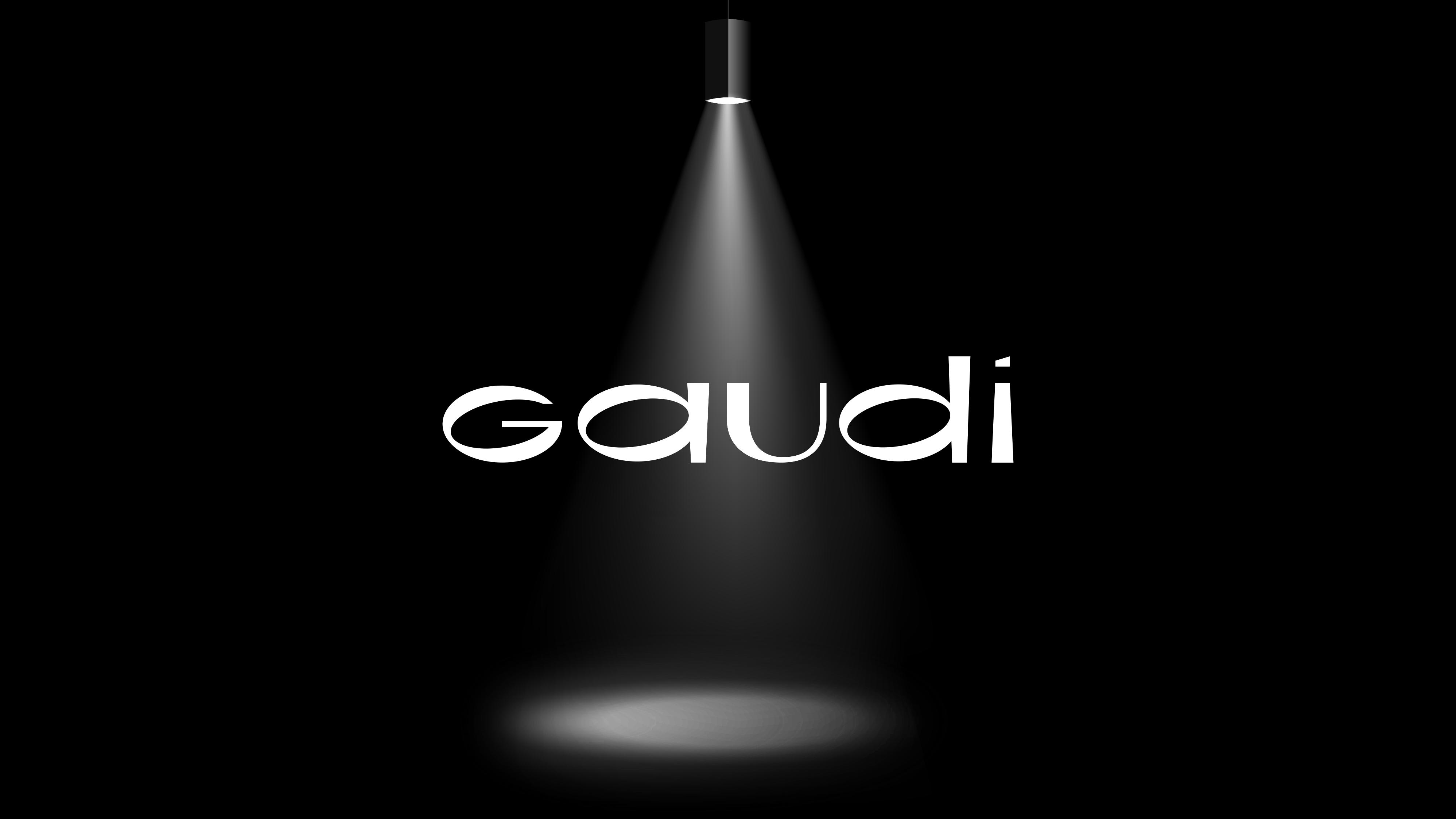 Gaudi